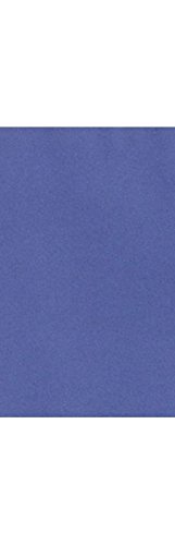 Premium 8.5 x 14 Cardstock Paper - 250 Sheets Boardwalk Blue for Scrapbooking, Invitations & Craft Projects | Heavy Weight Paper for DIY, Office & School Use