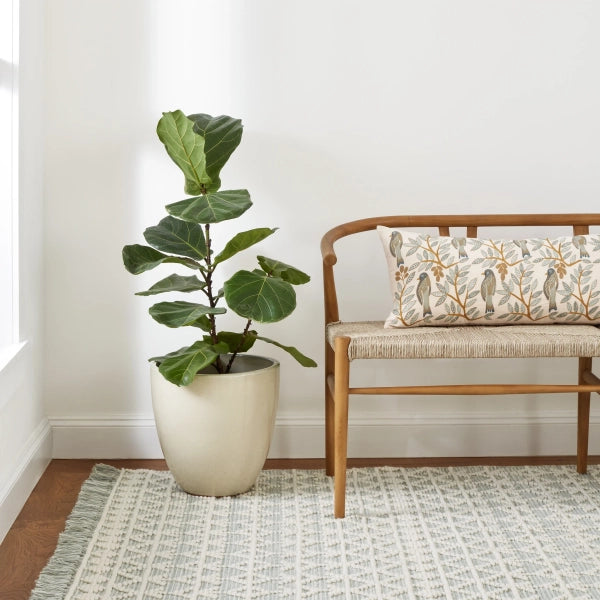 Dash & Albert Pembrook Handwoven Wool Rug - Soft & Durable Area Rug for Living Room, Bedroom, or Office - Perfect for Cozy Home Decor