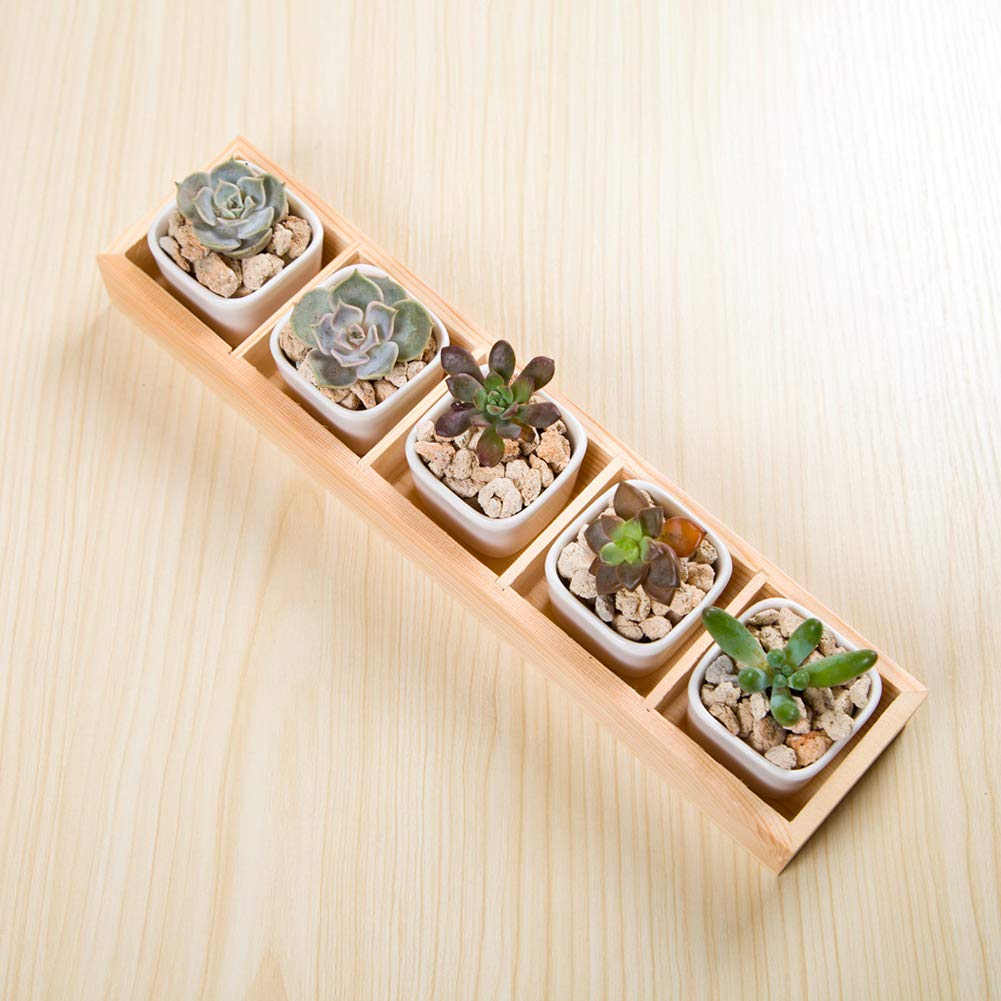 Walbest Succulent Plant Pot - Multi Grid Wooden Flower Planter Box with 3 Grids for Bonsai, Desktop Storage & Home Decor | Perfect for Office, Living Room & Indoor Plants