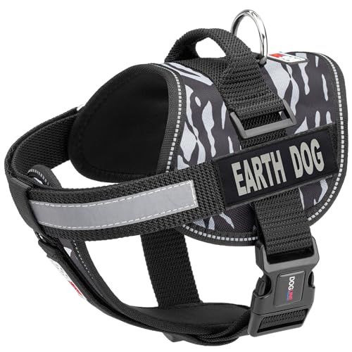 Zebra Black/White