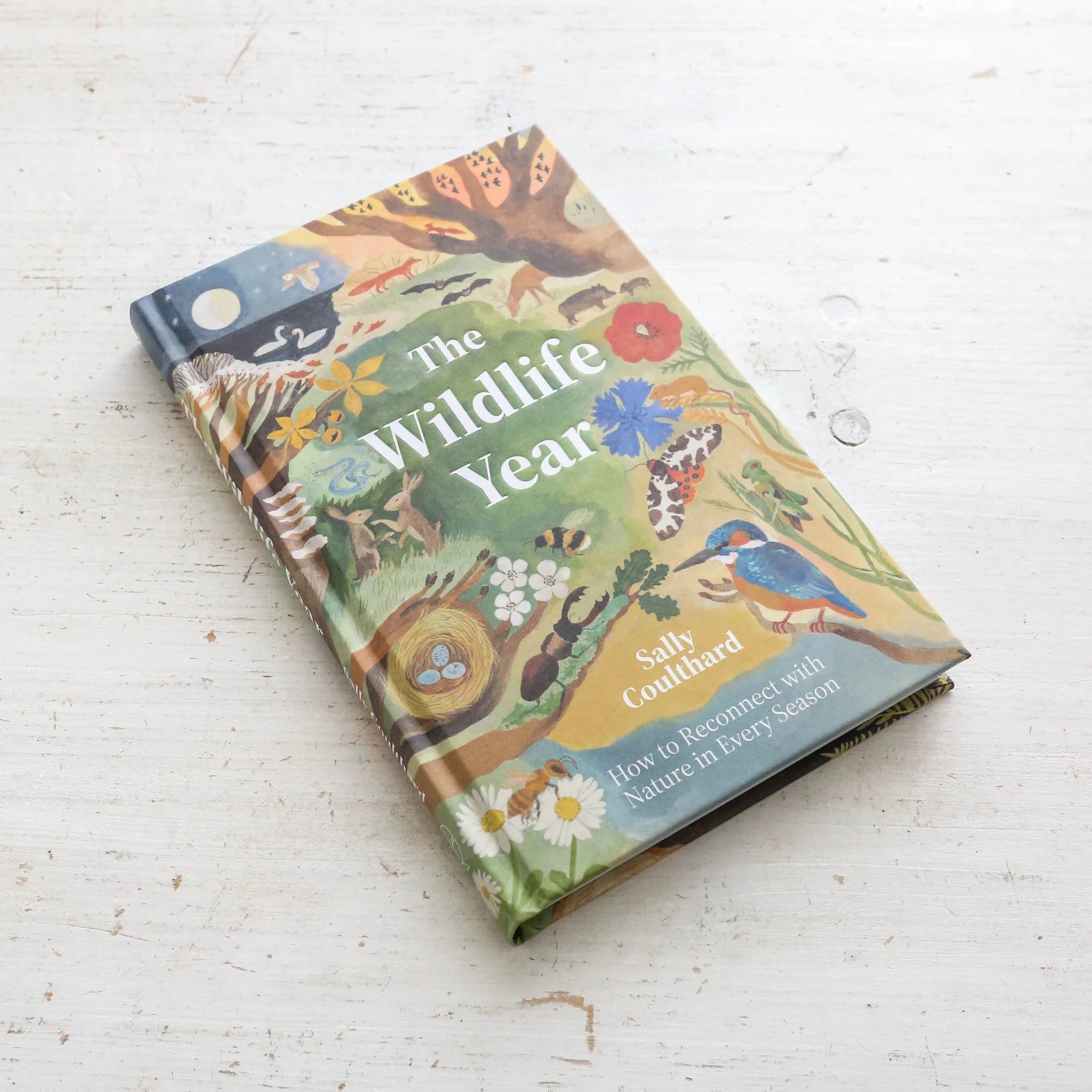Wildlife Year: How to Reconnect with Nature Through the Seasons | Outdoor Adventure Guide & Seasonal Nature Activities for Families