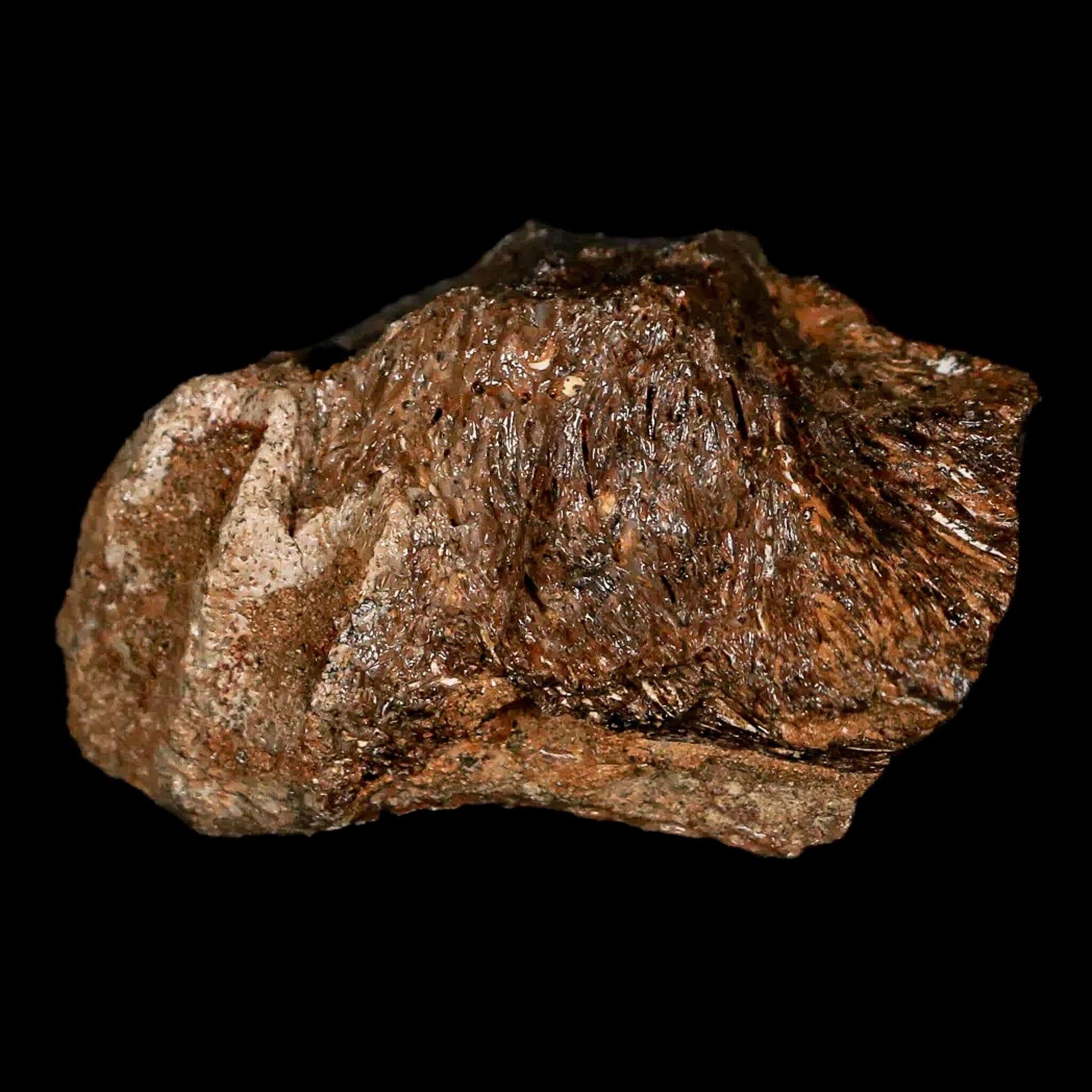 1.9