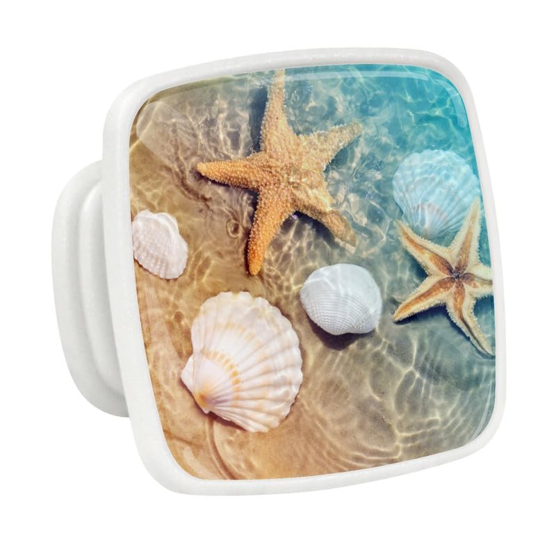 Starfish Beach Shells 2