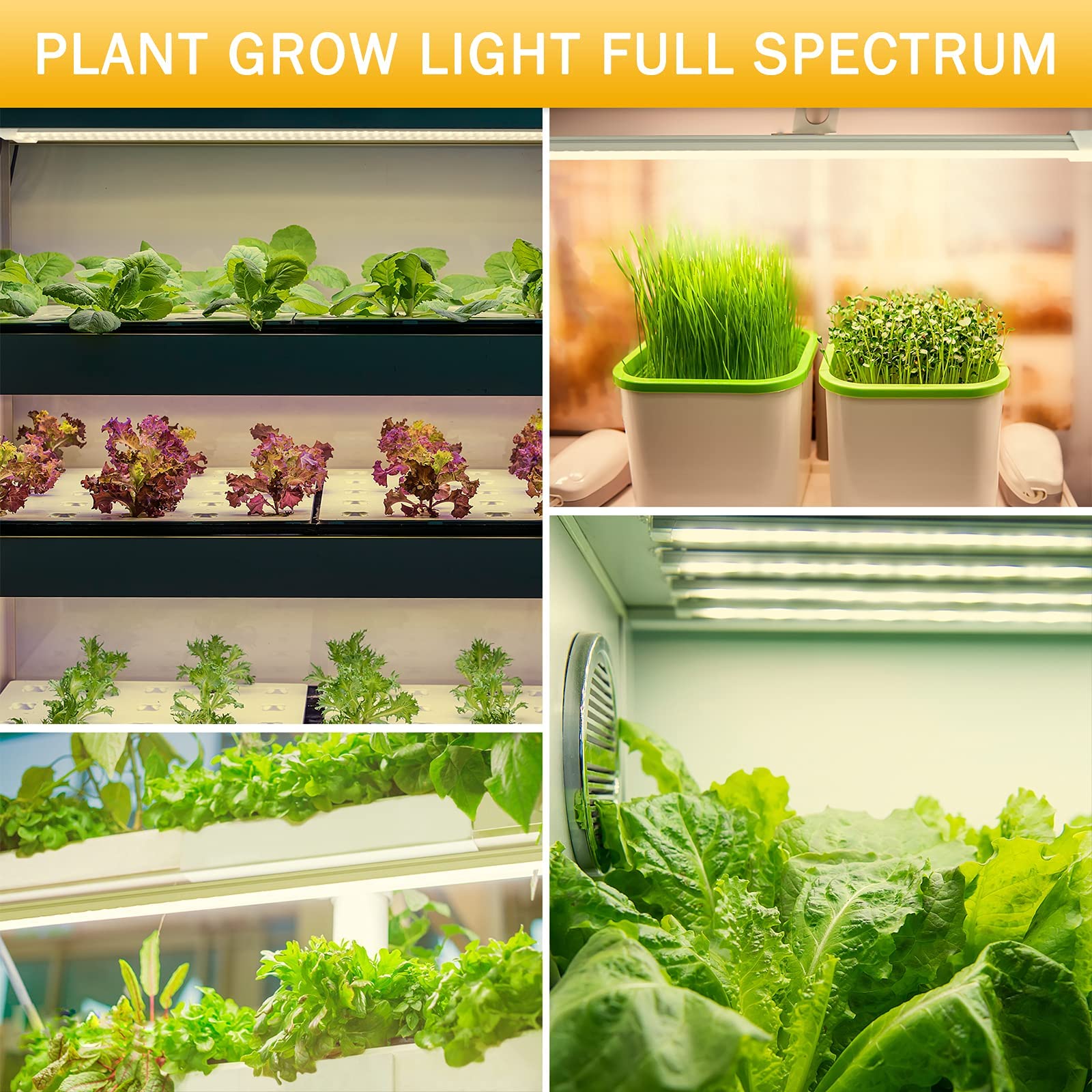 Full Spectrum LED Grow Lights for Indoor Plants - 48 LEDs, 4 Dimmable Levels with Auto ON/Off Timer - Hydroponic Grow Lamp for Succulents, Herbs & Vegetables (2 Pack) - Perfect for Home Gardening, Greenhouse & Indoor Planting