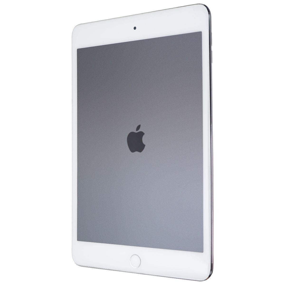 Apple iPad Mini 4 (7.9 inch) Wi-Fi 128GB Silver - Tablet with Protective Cover Bundle for Work, Travel & Entertainment
