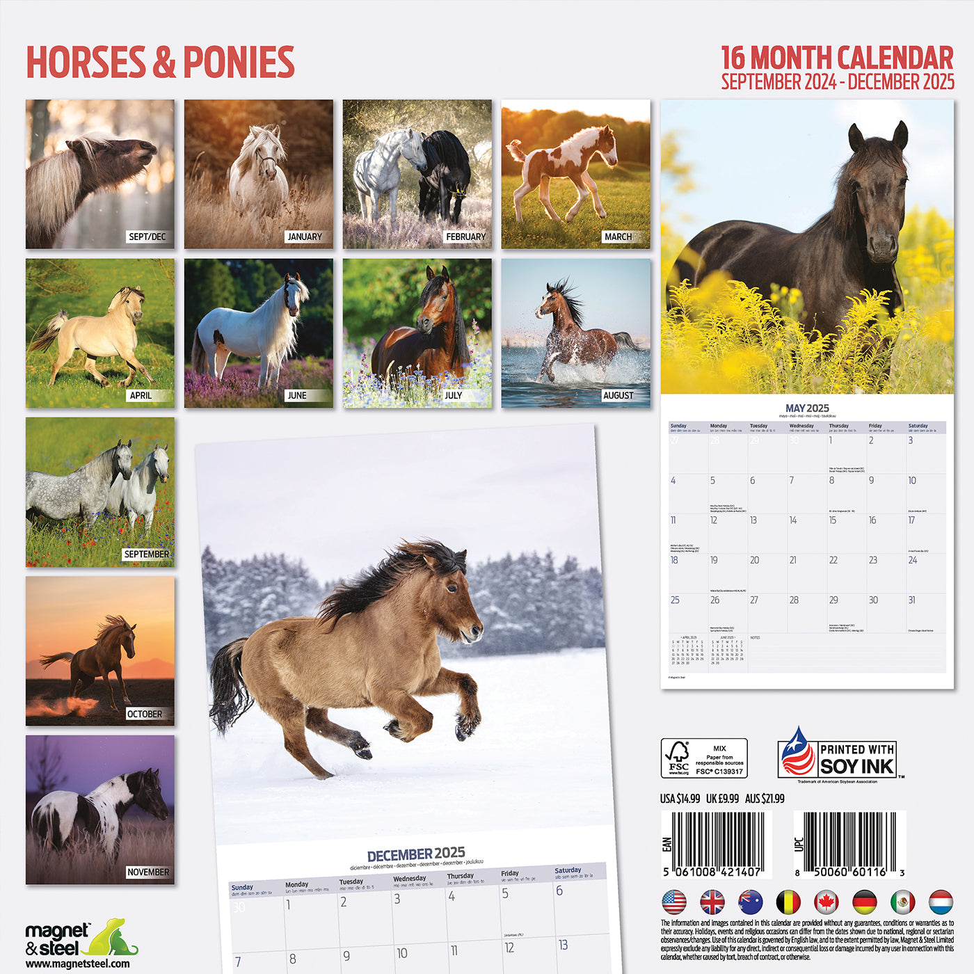 2025 Horses & Ponies Wall Calendar - Beautiful Equine Photography for Horse Lovers | Perfect for Home, Office, or Stable Decor | Monthly Planner & Gift Idea