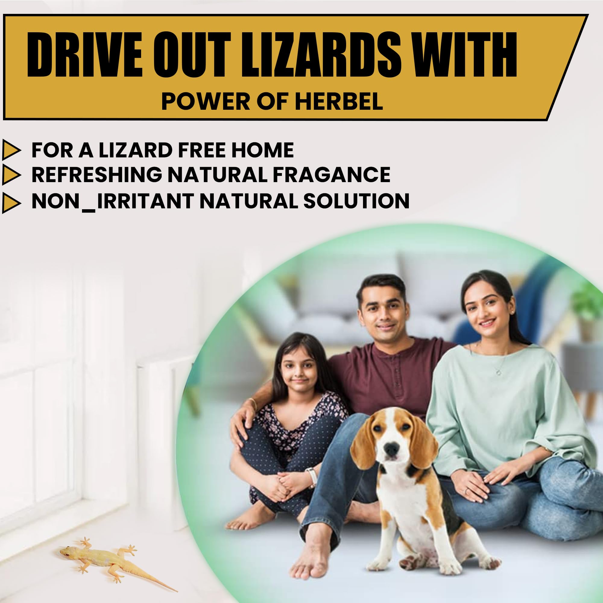 Unitedlys 100% Natural Herbal Lizard Repellent Spray - 250ml | Chemical-Free, Aerosol-Based Home Protection | Safe, Odorless & Eco-Friendly Solution | Biodegradable & Long-Lasting | Perfect for Indoor Use in Kitchens, Bedrooms & Living Areas