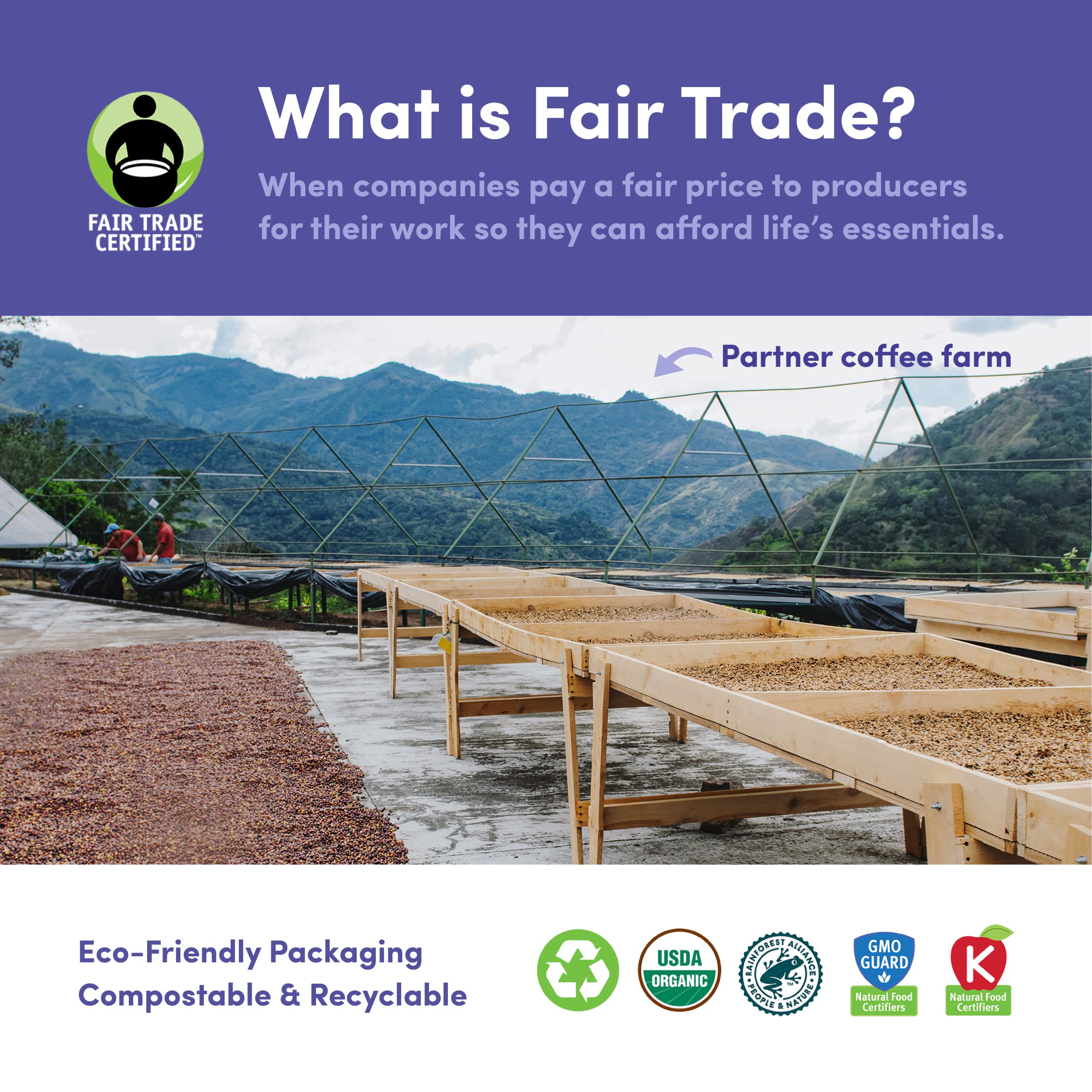 Organic Decaf Single Origin Coffee Beans - Mild & Smooth Fair Trade Decaffeinated Whole Bean Coffee, 11oz - Perfect for Morning Brews & Afternoon Relaxation