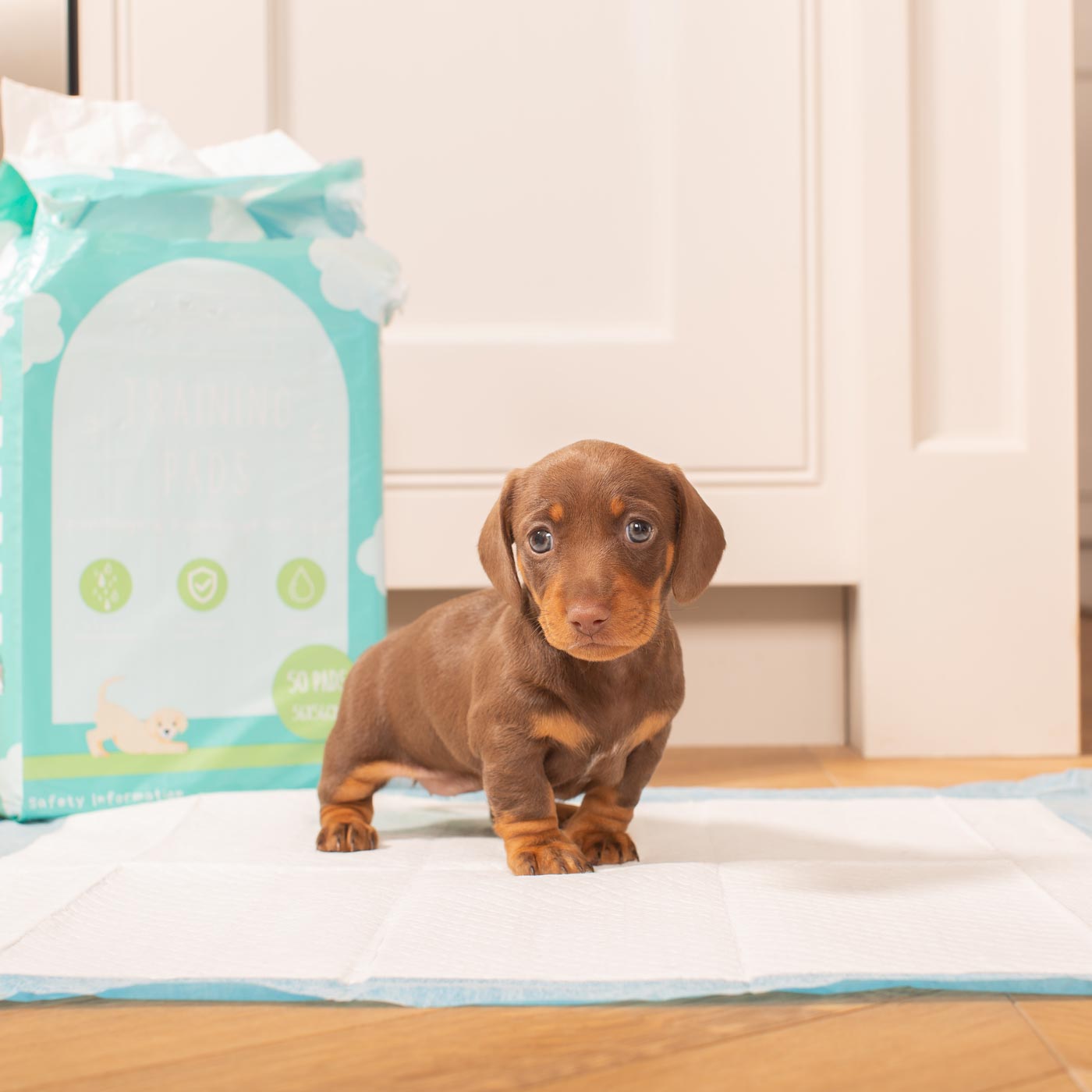 Premium Puppy Training Pads - Super Absorbent Leak Proof Triple Pack for Small & Large Dogs - Perfect for Housebreaking, Crate Training & Travel Use