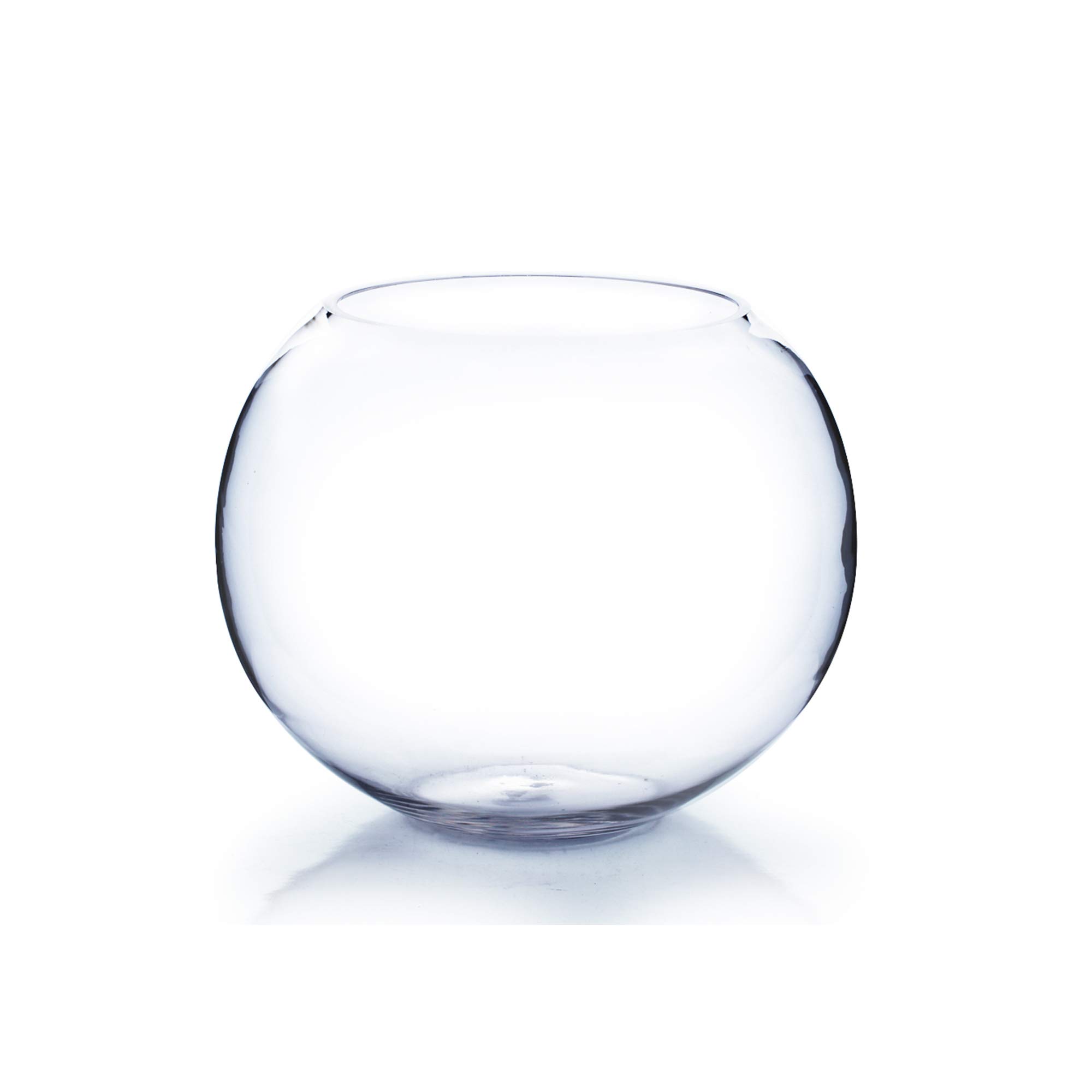 Premium Clear Glass Bubble Vase - 9
