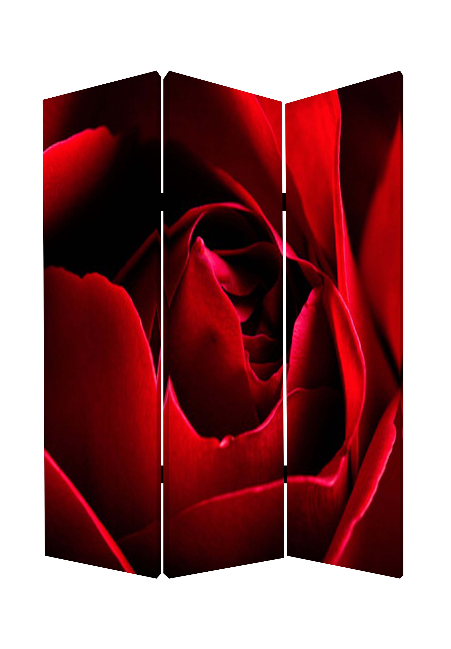 Elegant Screen Gems Rose Room Divider - 6-Panel Folding Privacy Screen for Home & Office - Perfect for Bedroom, Living Room, and Event Space Decoration