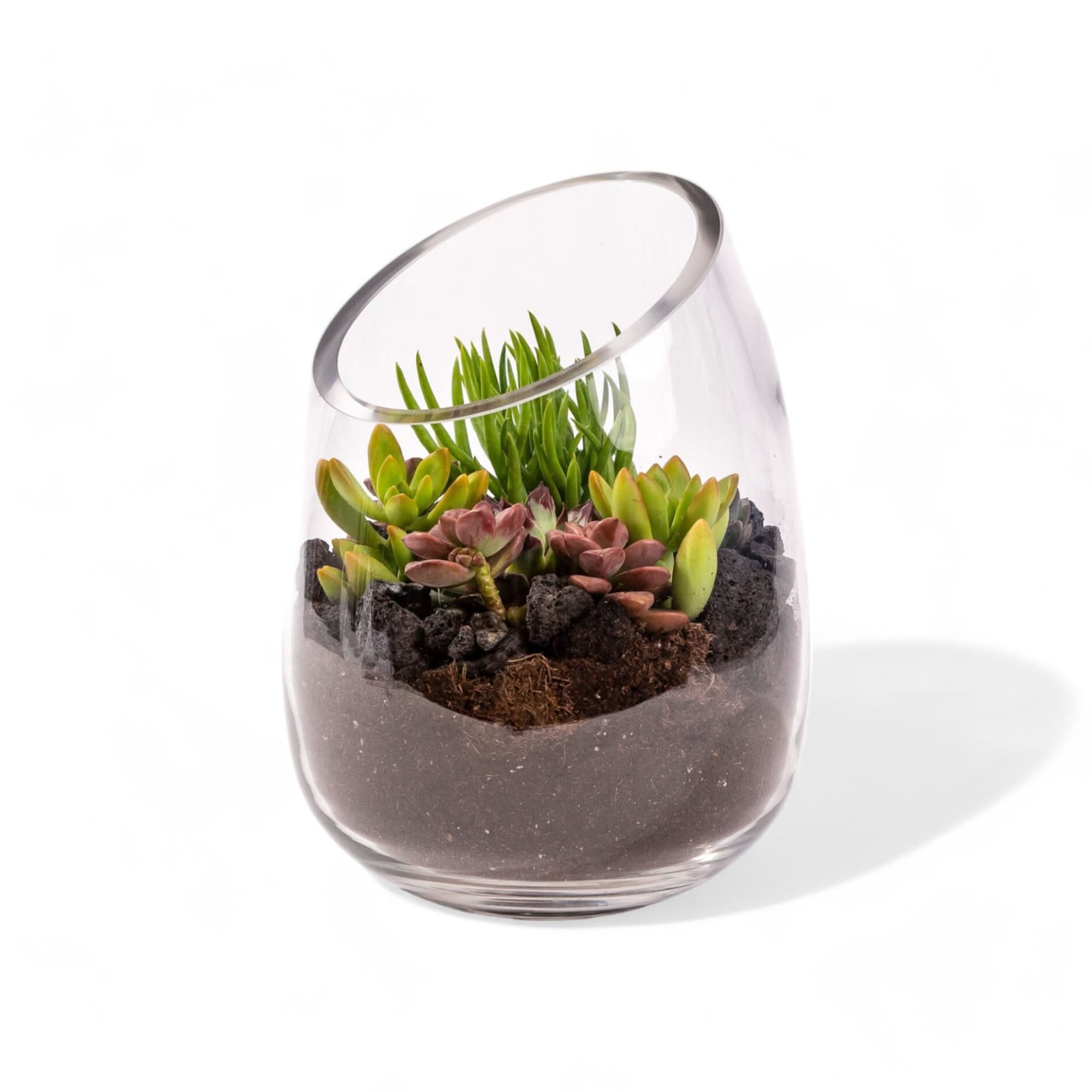 Bullet Vase Succulent Terrarium - Modern Glass Planter for Air Plants & Small Succulents - Perfect for Home Decor, Office Desk & Gift Ideas