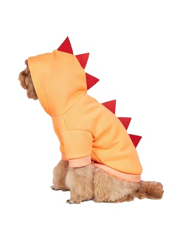 Solid Orange