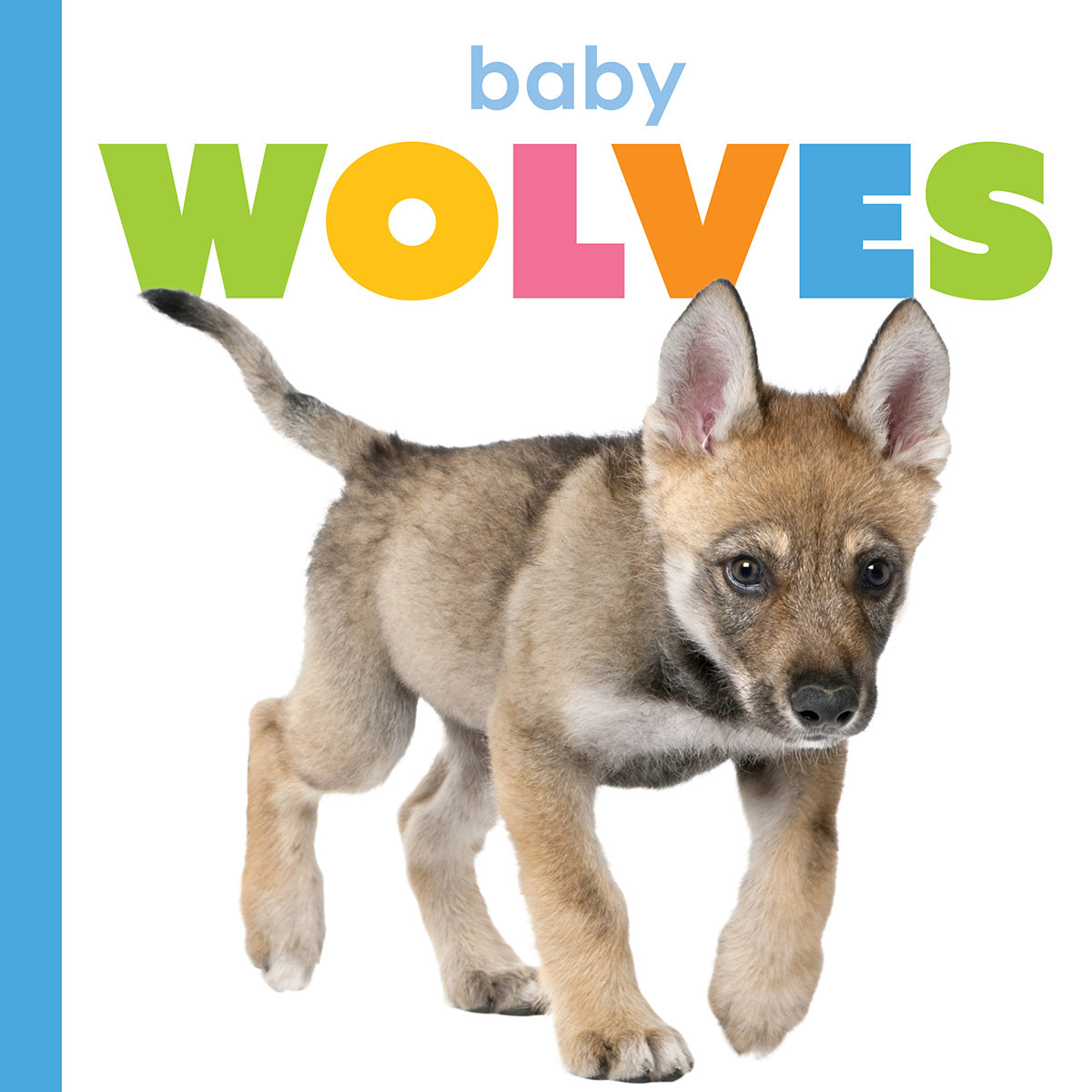 Baby Wolves Starting Out - Adorable Wolf Plush Toys for Kids & Collectors | Perfect for Nursery Decor, Gifts & Cuddling