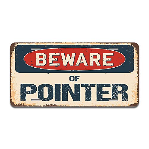 Beware of Pointer