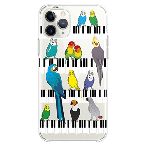 Colorful Parrots