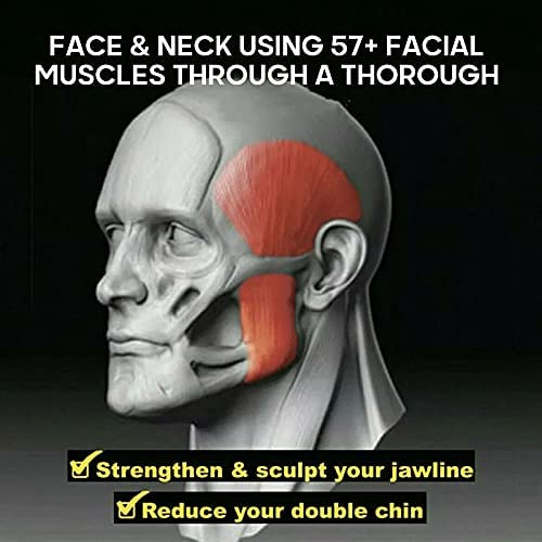 MSA Jawline Exerciser Tool for Men & Women - Silicone Face Neck Toner & Shaper Chew Ball for a Younger, Healthier Look - Perfect for Home Workouts, Fitness Routines & Facial Toning