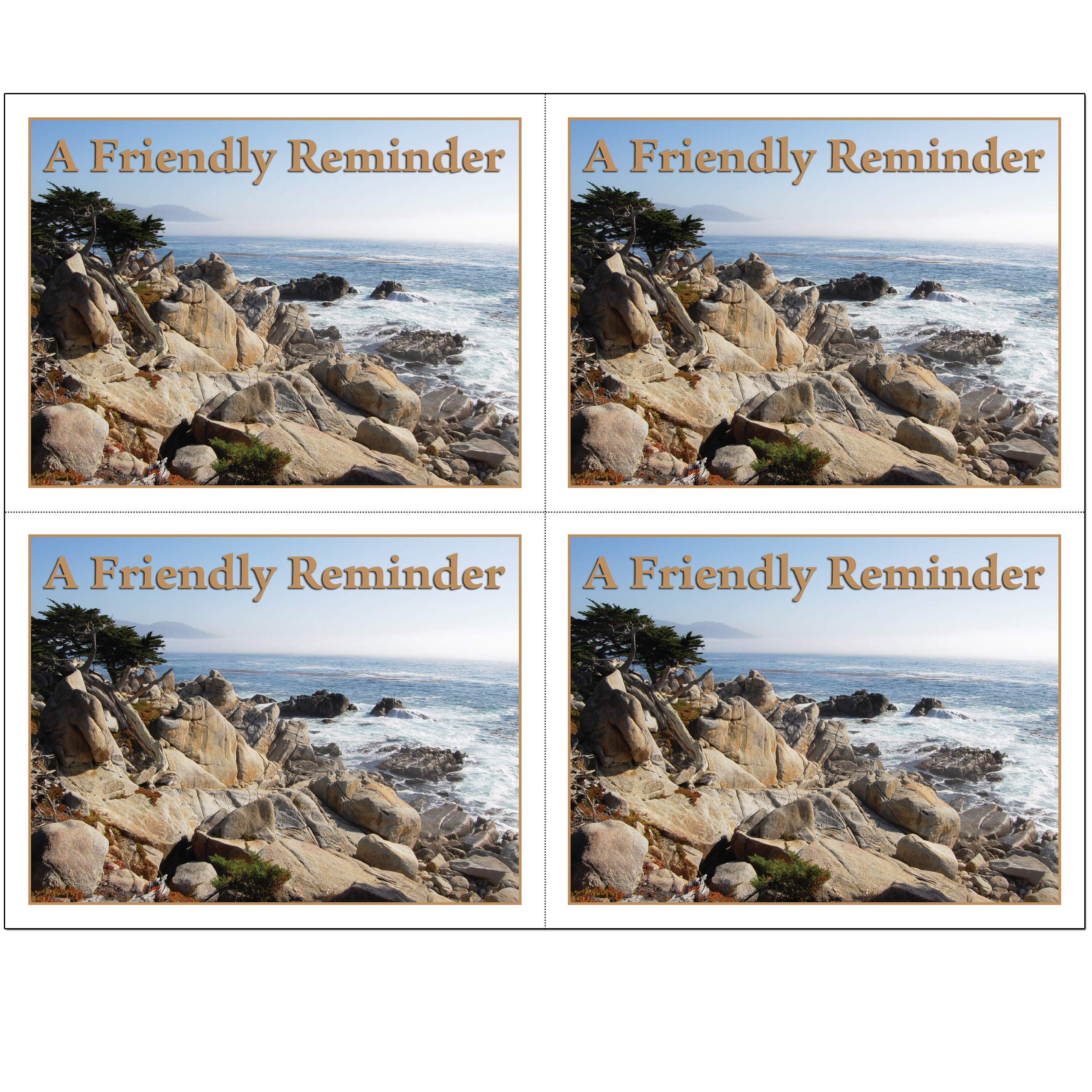 Laser Reminder Postcards for Dental, Optometry, Veterinary & Chiropractic Offices - 500 Pack of 4.25