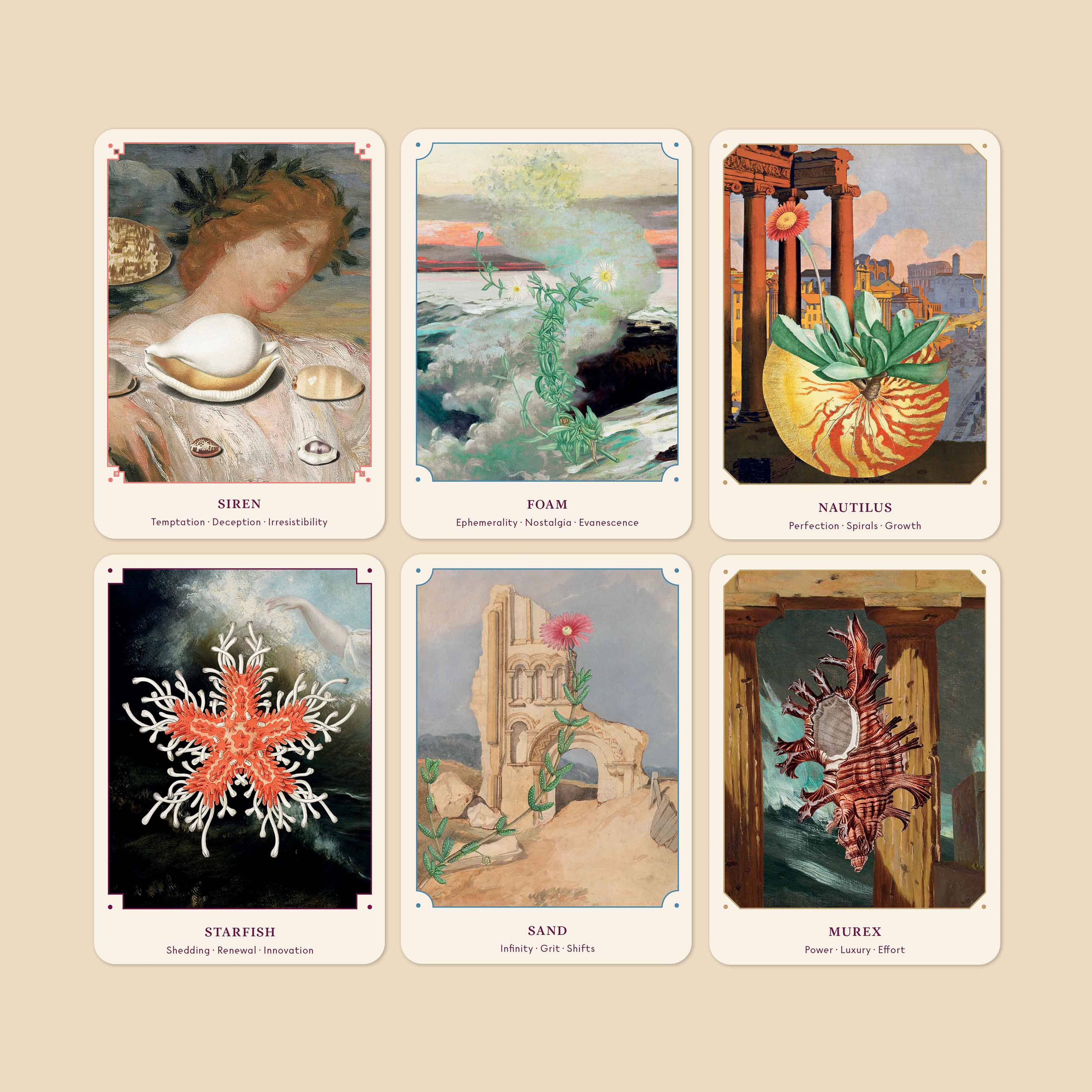 The Seashell Oracle Deck and Guidebook – 44-Card Divination Set with Spiritual Guidance – Perfect for Tarot Readings, Meditation, and Intuitive Healing