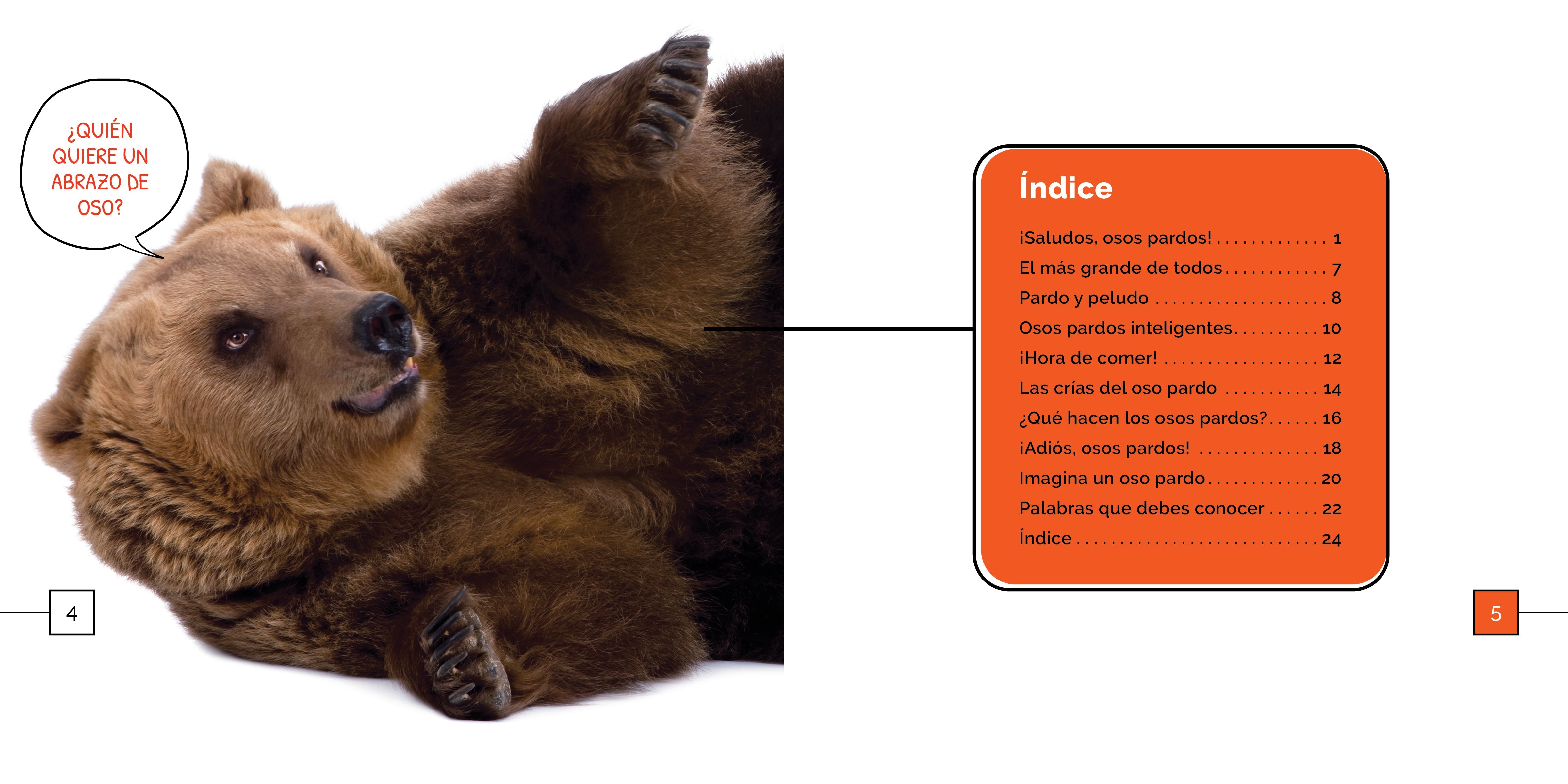 Brown Bears Wonders - Stunning Wildlife Photography & Nature Decor for Home & Office