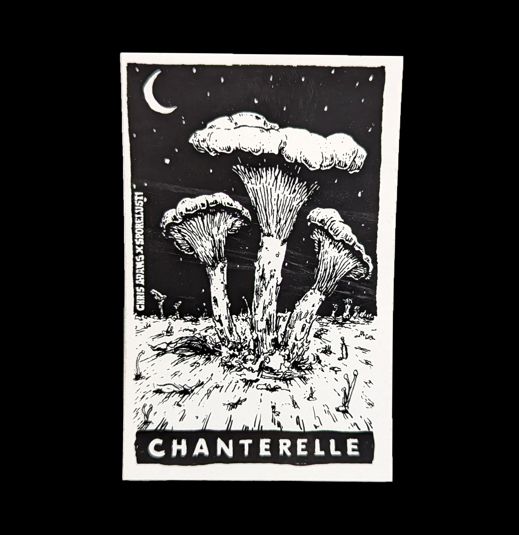 Premium Chanterelle Mushroom Stickers - Waterproof Vinyl Decals for Laptops, Water Bottles & DIY Crafts - Nature Inspired Forest Decor for Outdoor Enthusiasts & Mushroom Lovers