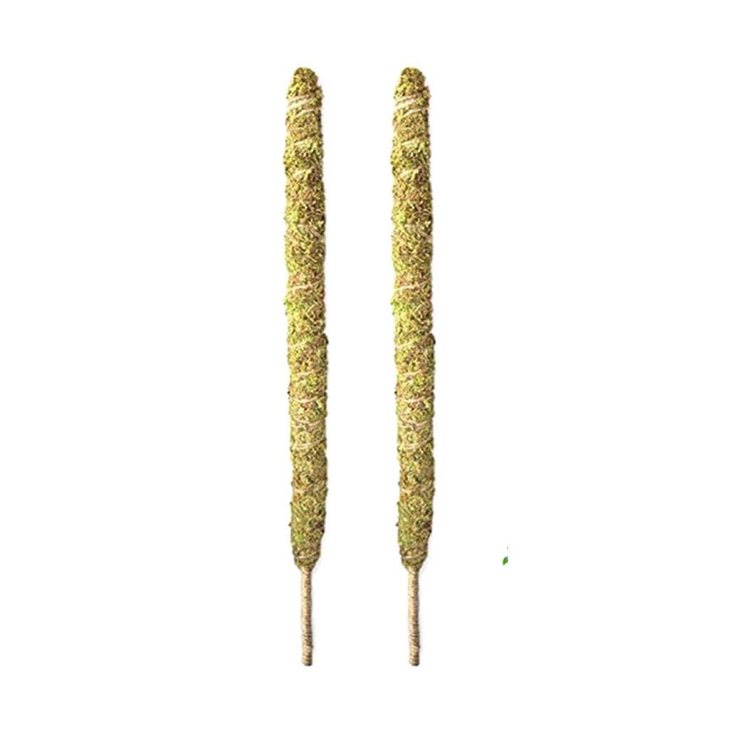 2 Pack Bendable Natural Moss Pole for Climbing Plants - Coir Totem Plant Support Stick, Indoor Gardening Tools for Monstera, Pothos & Philodendron - Perfect for Home, Office & Greenhouses
