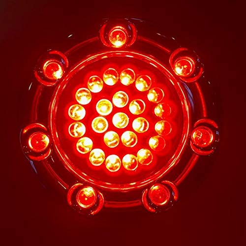 Eagle Lights 2 Inch Bullet Rear Infinity Beam LED Turn Signals & Brake Lights with LED Ring Covers for Harley Davidson Motorcycles - Black (1157 Base) - Perfect for Night Riding and Enhanced Safety