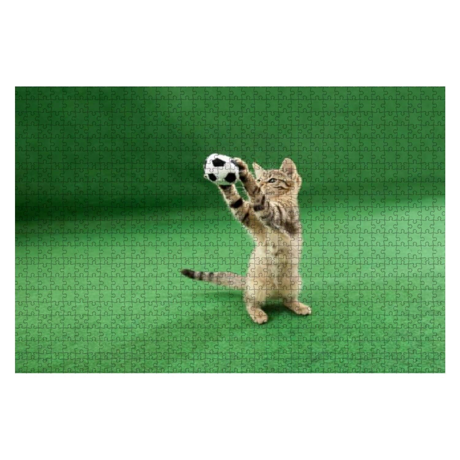 1000 Piece Wooden Jigsaw Puzzle - Cute Cat Holding Soccer Ball Between Paws - Educational & Stress Relief Toy for Kids & Adults - Perfect for Family Game Nights, Birthday Gifts & Classroom Activities