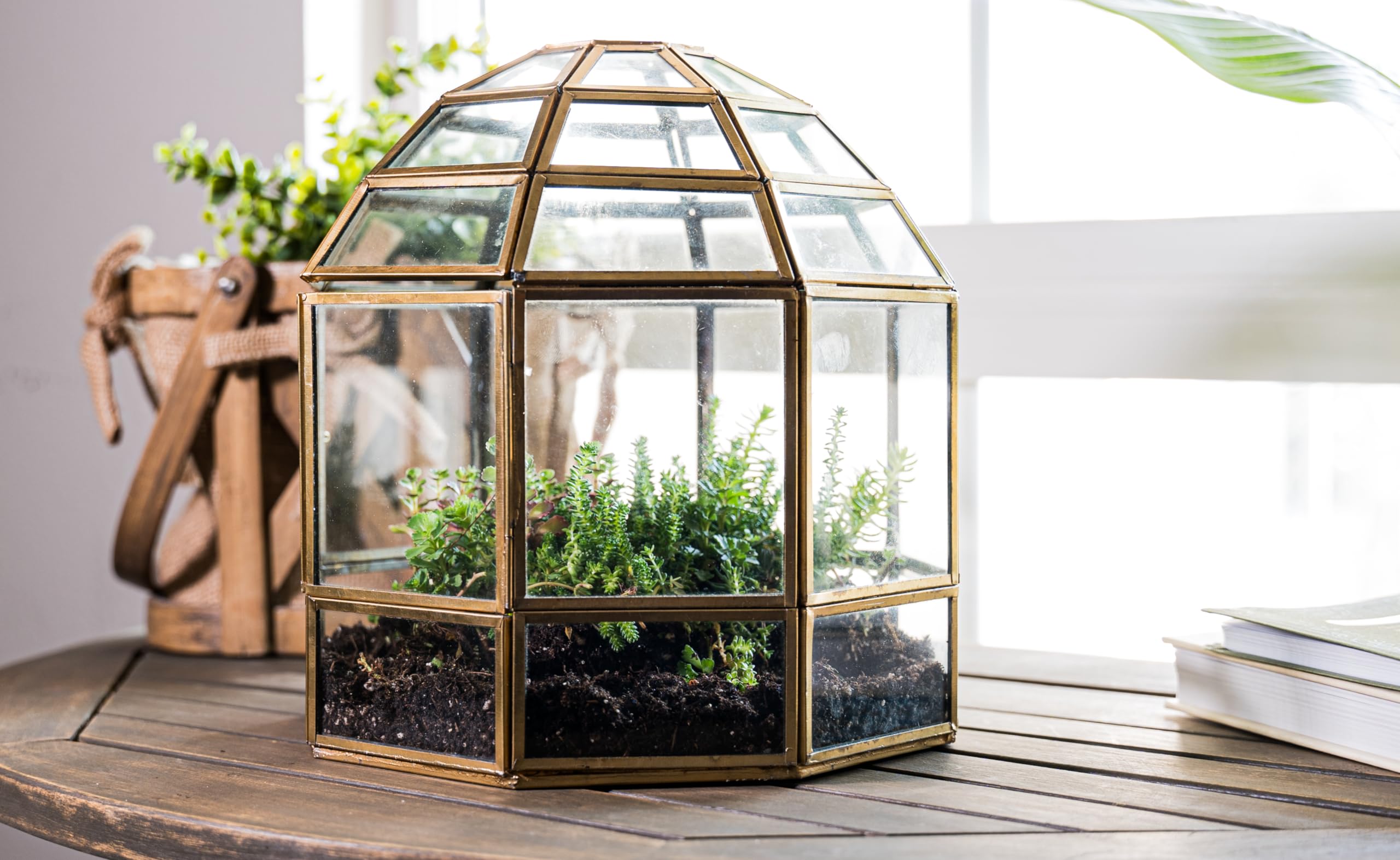 Handmade Large Glass Terrarium Birdcage - 10