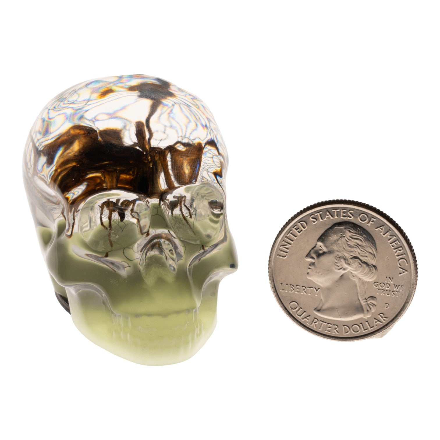 Glow in the Dark Acrylic Skull Magnet with Real Spider & Web - Unique Gothic Decor for Fridge, Lockers & Halloween Party Decorations