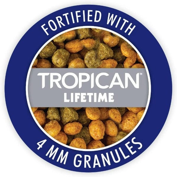 Premium Parrot Seed Mix - HARI Gourmet Bird Food for Cockatiels, Conures & Parakeets | Healthy & Nutritious Diet for Pet Birds | Perfect for Daily Feeding & Training Treats
