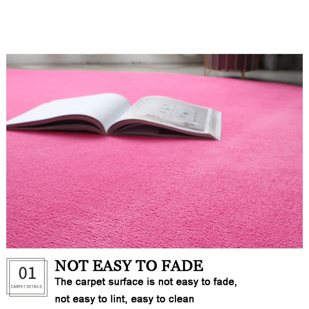 Ultra Soft Round Area Rugs 3.9' x 3.9' - Non-Slip Coral Fleece Carpet for Living Room, Bedroom & Bathroom - Modern Home Decor Indoor Outdoor Rug in Purple - Perfect for Cozy Spaces, Yoga Mats and Pet Areas