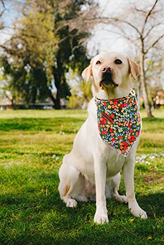 **Lionheart Glory Washable Soft Cotton Daisy Print Dog Bandana - Adjustable Scarf for Small Dogs | Perfect for Pet Fashion, Outdoor Adventures & Special Occasions**