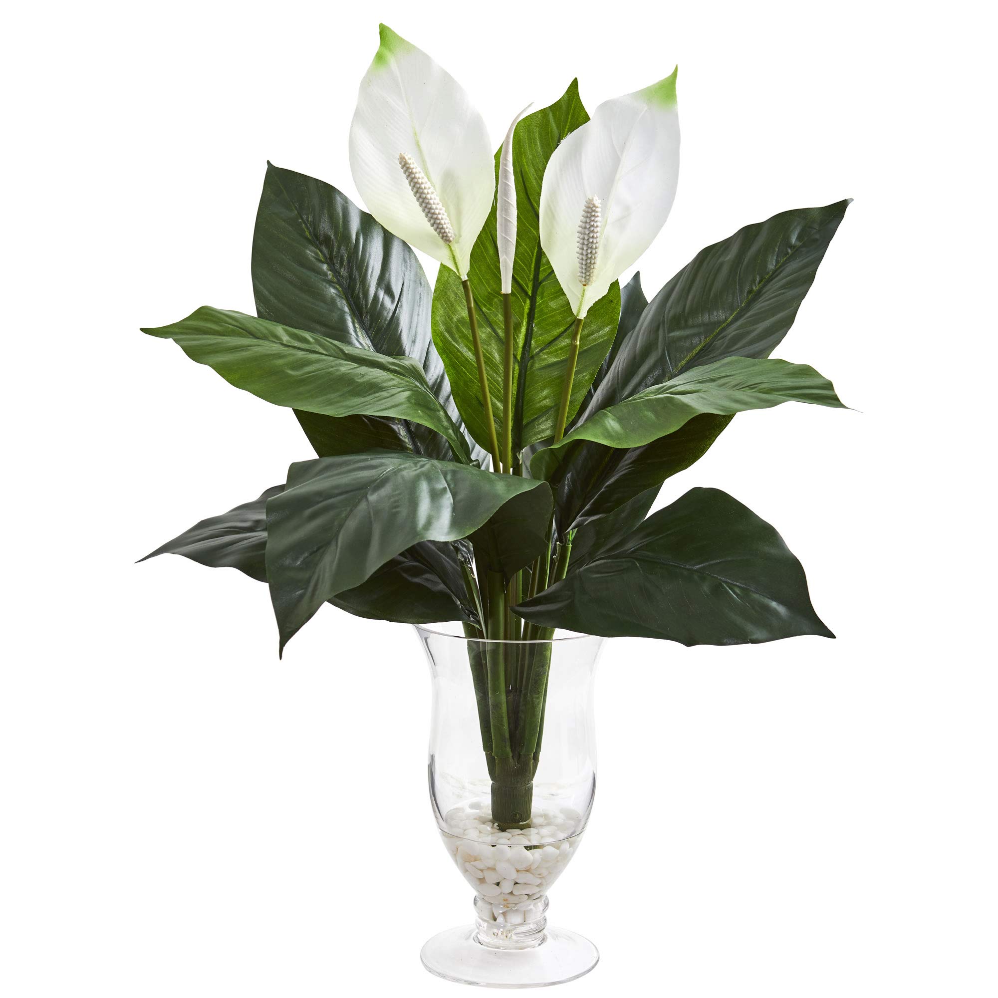 Nearly Natural Spathiphyllum Artificial Silk Plant in Glass Vase - Realistic Green Faux Peace Lily for Home Decor, Office, Wedding Centerpiece & Indoor Greenery