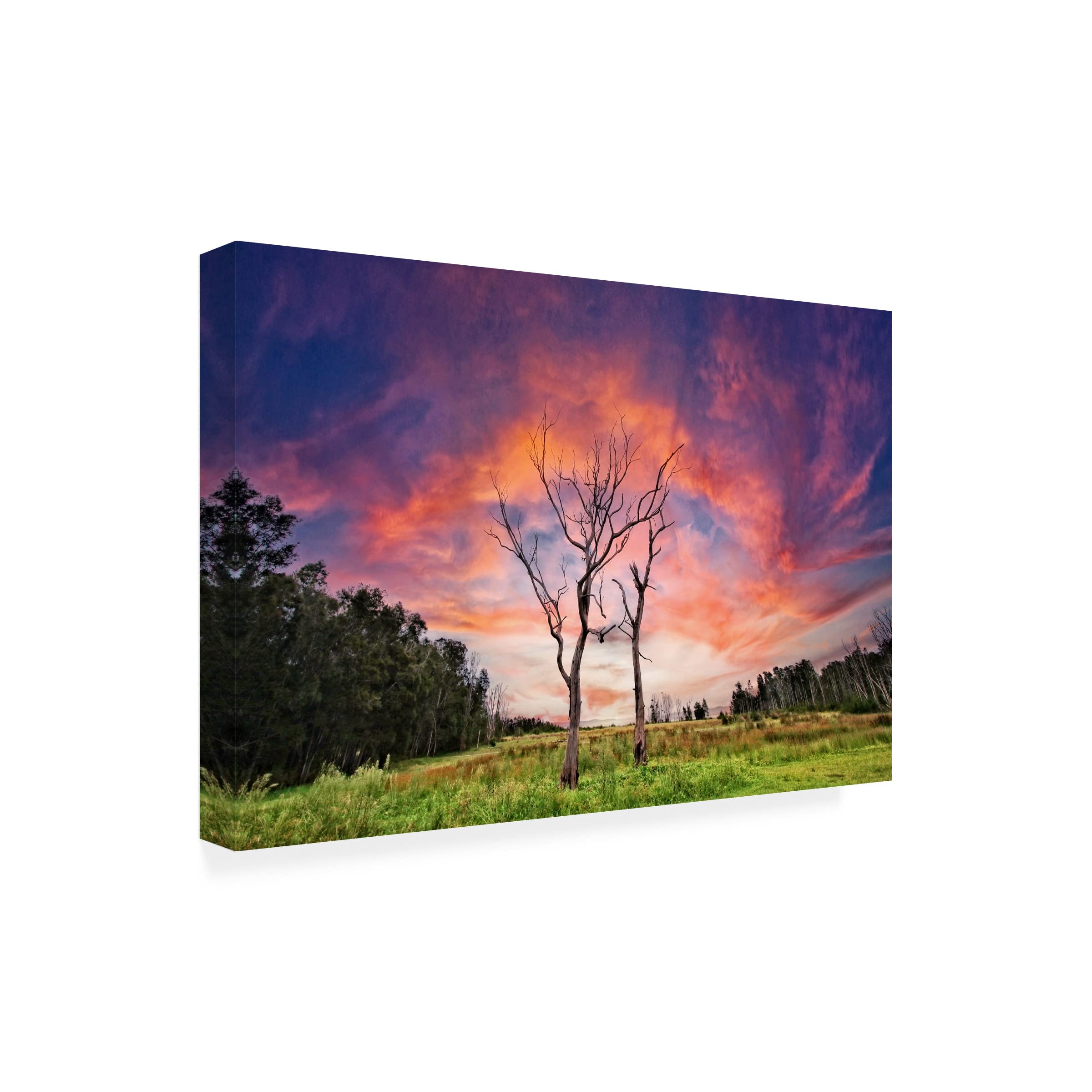 Trademark Fine Art 'Growing Old Together' Romantic Couple Canvas Wall Art Print by Beata Czyzowska Young - Perfect for Living Room, Bedroom Decor & Anniversary Gifts