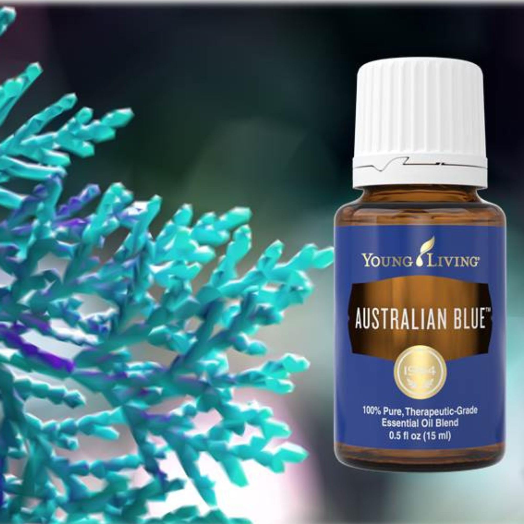 Young Living Australian Blue Essential Oil 15ml - 100% Pure Grounding & Stabilizing Aromatherapy Blend for Meditation, Stress Relief & Emotional Balance | Premium Mix of 16 Oils | Perfect for Diffusers, Massage & Yoga Practice