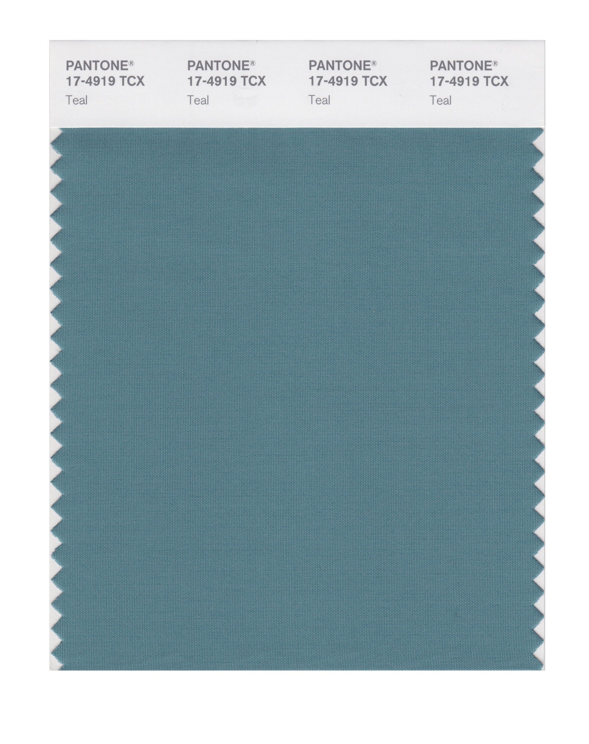 PANTONE Smart 17-4919X Teal Color Swatch Card - Professional Color Matching Tool for Graphic Design, Printing & Branding - Perfect for Designers, Artists and Creative Projects