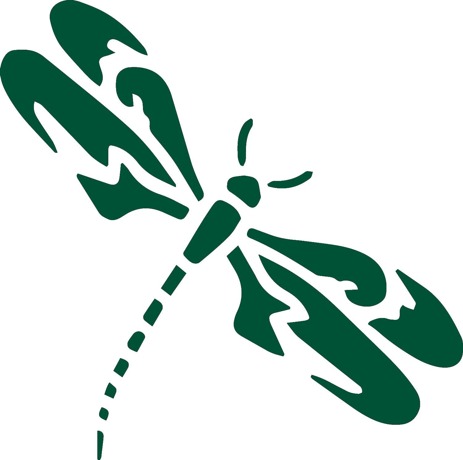 Premium Waterproof Vinyl Decal Stickers (Set of 2) - Dragonfly Design in Green for Laptop, Phone, Helmet, Car Window, Bumper, Mug, Cup, Door & Wall Decoration | DIY Home & Office Decor, Gift Idea for Nature Lovers