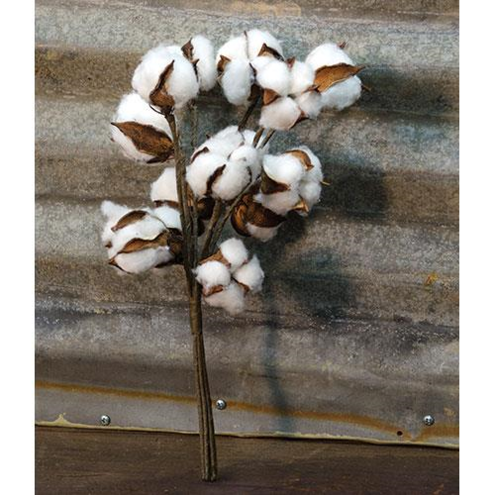 Premium Cotton Ball Bunch - 100% Natural Soft Cotton Balls for Makeup Removal, Nail Polish, First Aid & Baby Care (Pack of 14) - Ideal for Home, Salon & Travel Use