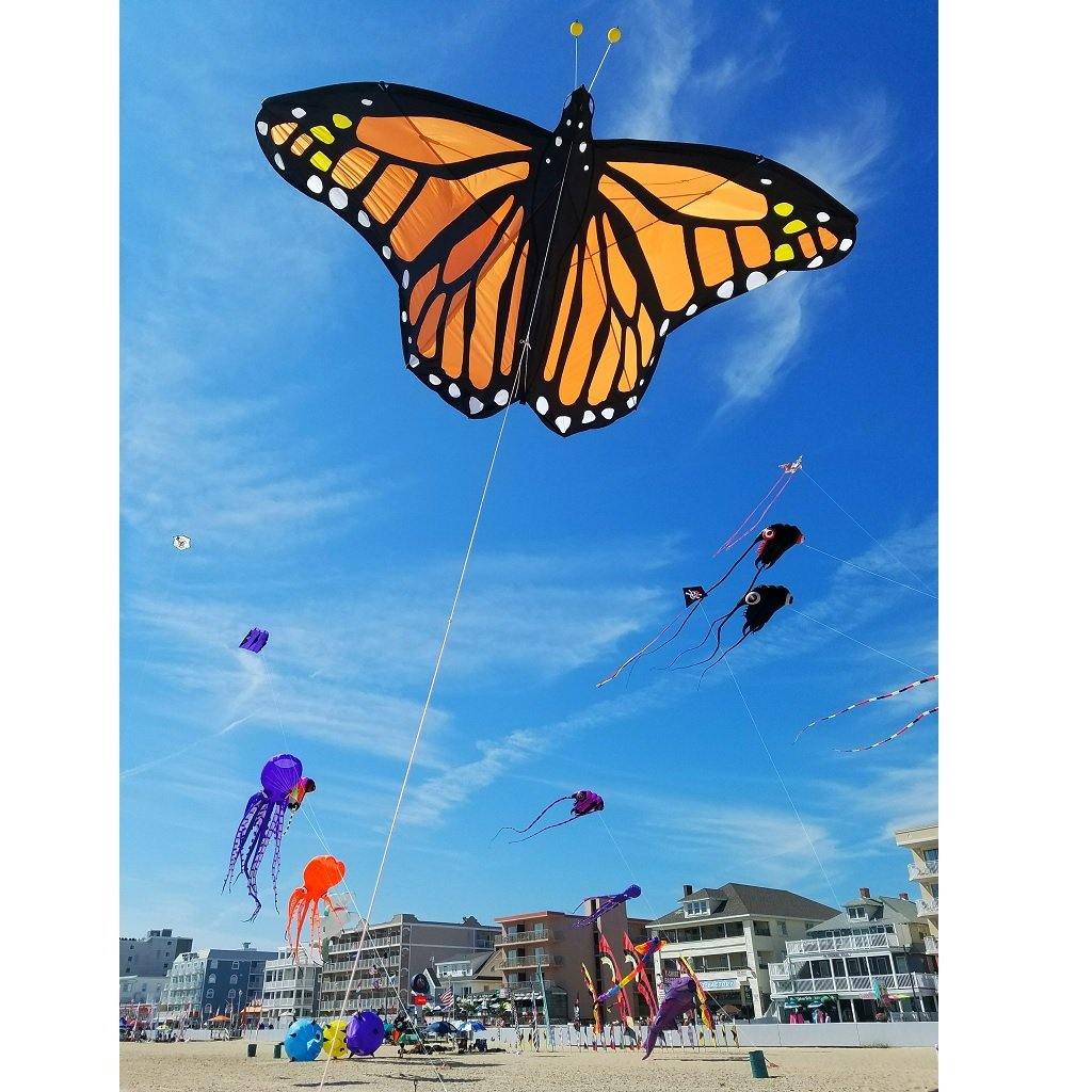 Giant Monarch Butterfly Kite - Large Colorful Butterfly Kite for Outdoor Activities, Beach, Park & Family Fun