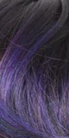 TT PURPLE