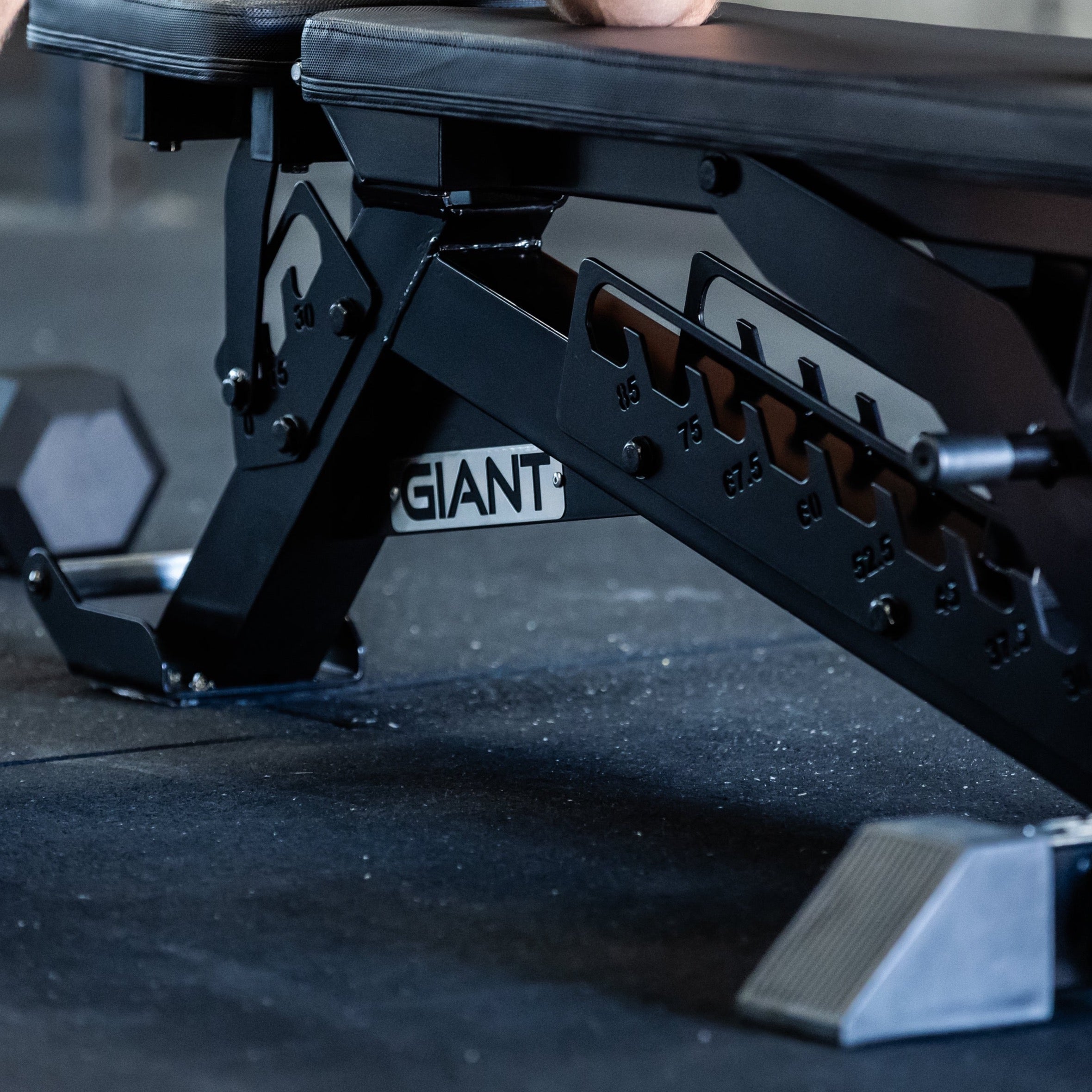 GIANT F85 Adjustable Weight Bench for Home Gym - Multi-Position Workout Bench for Strength Training, Dumbbell Exercises & Full Body Workouts - Perfect for Home Fitness & Garage Gym Setup