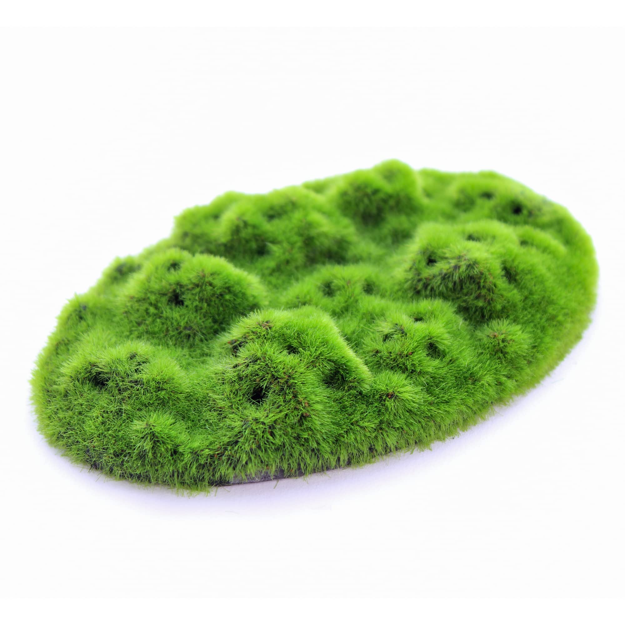 Penn-Plax Aqua-Flora Aquarium Decor with Glosso Plant Seeds - Natural Moss Patch for Freshwater Fish Tanks - Safe & Healthy Habitat for Betta, Guppies & Tropical Fish - Perfect for Planted Aquariums & Aquatic Environments