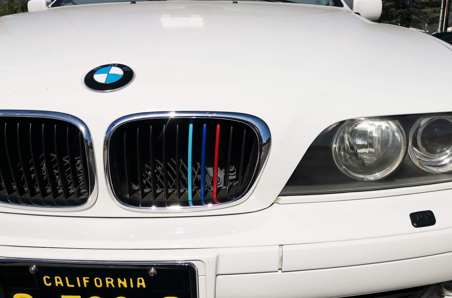 BMW E39 5 Series (1995-2003) ///M Style Colored Grille Insert Trims - 10 Beam Grill Upgrade for Enhanced Style & Performance | Perfect for Car Enthusiasts & Custom Builds