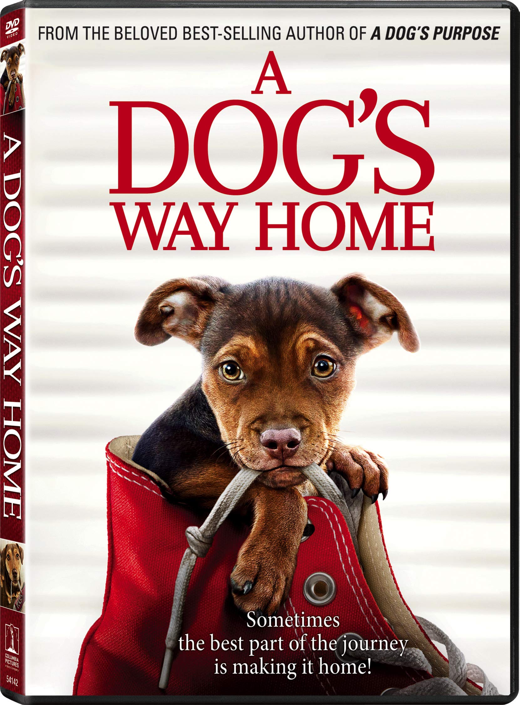 A Dog's Way Home DVD - Heartwarming Family Movie for Kids & Adults - Perfect for Movie Nights & Gifts