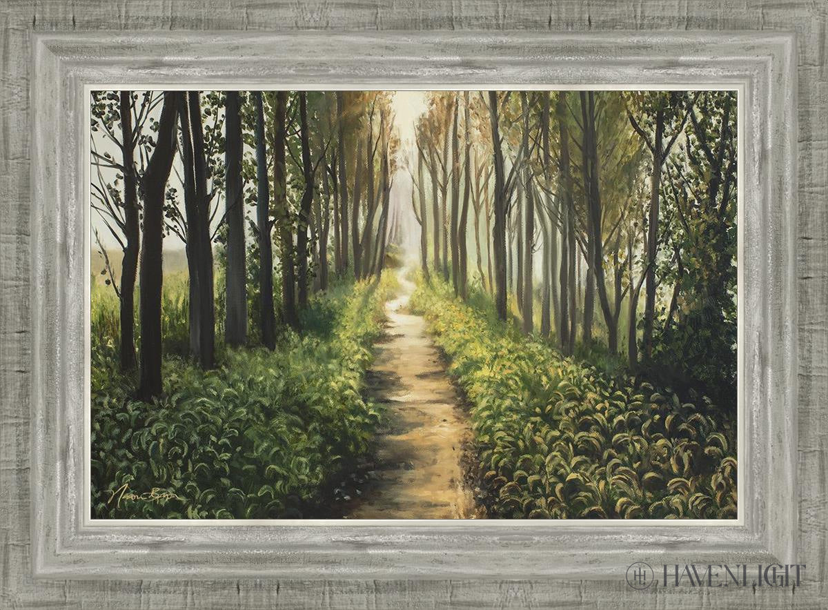 Forest Walkway - Beautiful Wooden Pathway for Gardens, Parks & Trails | Perfect for Outdoor Decor & Nature Walks