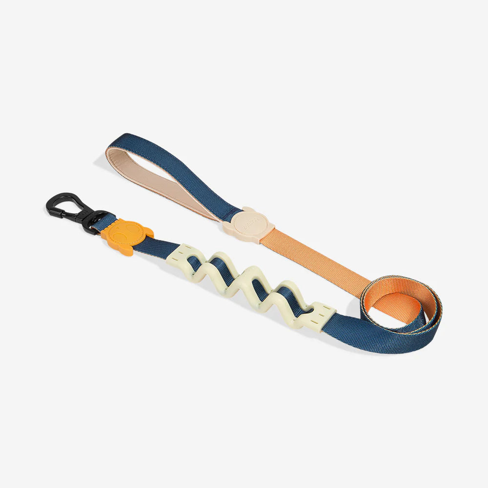 Zee.Dog Ruff Leash 2.0 - No Pull Dog Leash for Large Dogs with Comfortable Padded Handle | Perfect for Walking, Training & Outdoor Adventures
