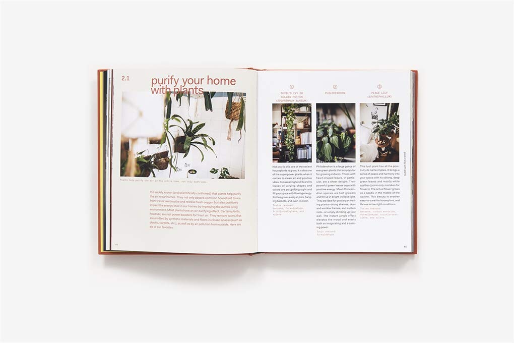 Plant Tribe: Best Indoor Plants for Home Decor, Wellness & Air Purification - Reduce Stress & Improve Air Quality | Perfect for Apartments, Offices & Relaxation Spaces | Enhance Living Rooms, Bedrooms & Workspaces