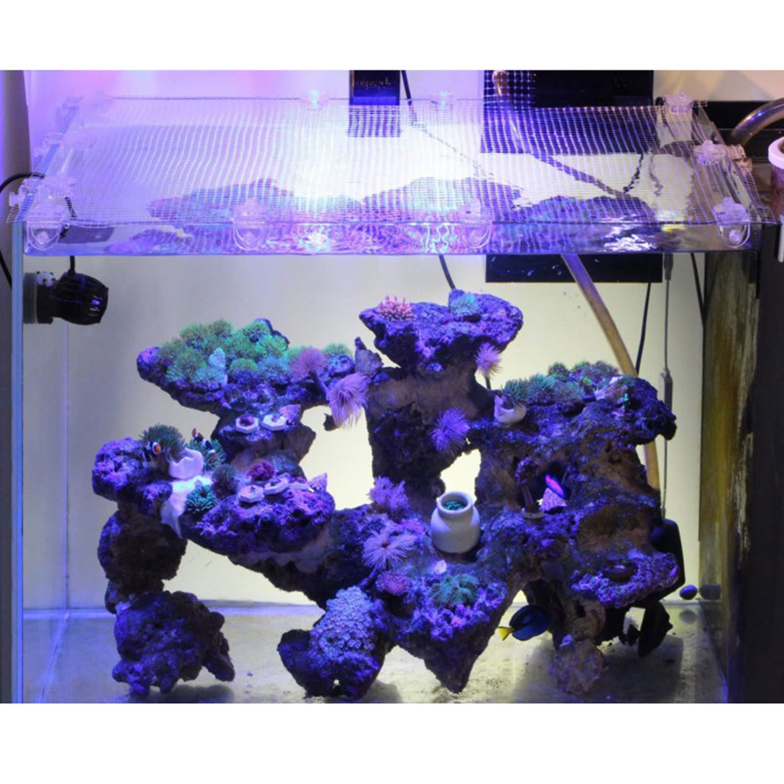 2pcs Transparent Acrylic Aquarium Clips - Fish Tank Net Holder for Anti-Jump Cover
