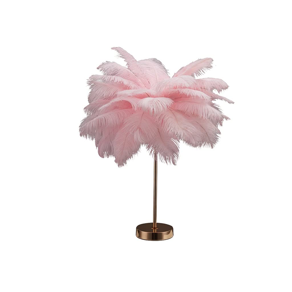 NNR Crystal Table Lamp with Ostrich Feather Shade - Elegant Pink Light Luxury Living Room & Bedroom Decor - Perfect for Nightstands, Desks, and Girls' Bedside Lighting